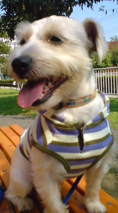 日光浴は気持ちいいね