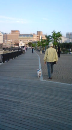 ボードウォークを父たんと歩く