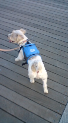 ベルニー公園でお散歩