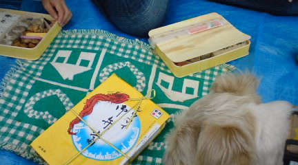 ピクニックのお弁当