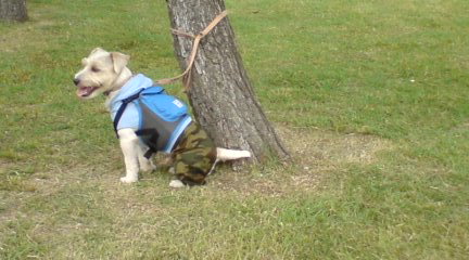 僕も食べたいのに・・・