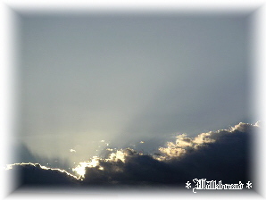 今朝の空です！