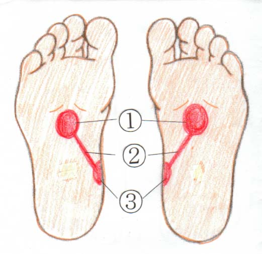 補足 足のむくみ 冷えのツボ 腎臓 尿管 膀胱の場所はココです 整体師のおすすめ健康法 楽天ブログ