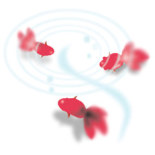金魚１