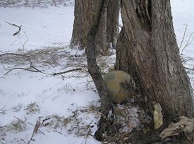 te-02