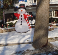 雪の世界です。