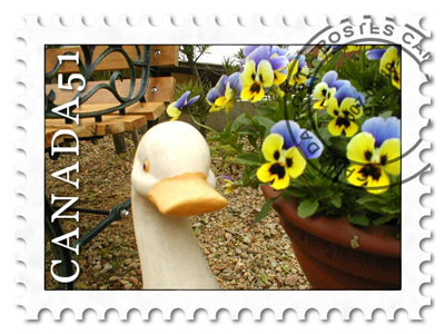 おとぼけアヒル　切手ブログ.jpg