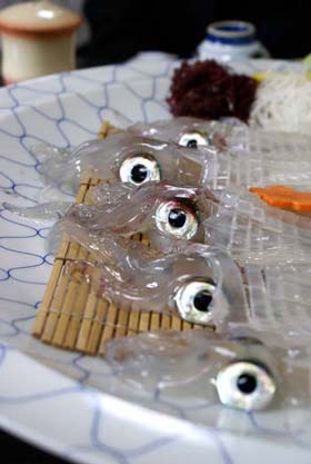 そんなに見つめないで