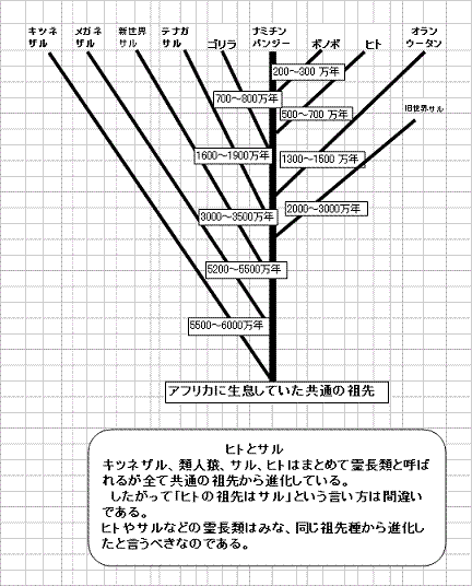 癌の進化論 奥山信一 本 | tureserva.com.co