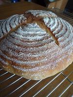 コピー ～ P1000278.JPG