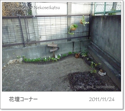 花壇コーナー2011.11.24.jpg