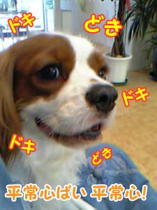 病院待合室