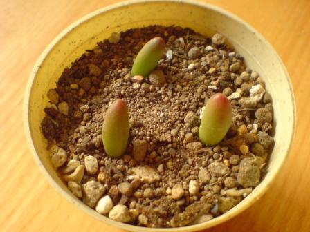 2008-05-28 15:27:57