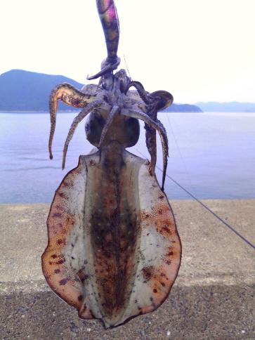 20100624 001.jpg