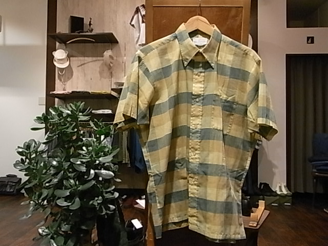 RIMG4064.JPG