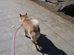 無料駐車場が利用できます。さあ行きましょう。