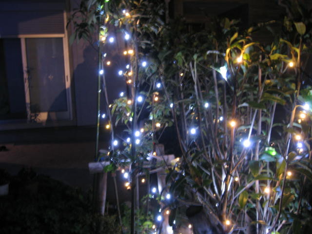 yonブロ１９１２０２ 006.JPG