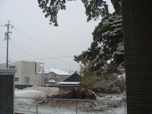 yonブロ用 004.JPG