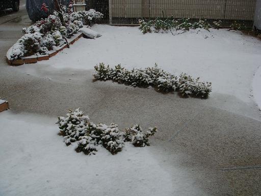 yonブロ用 003.JPG