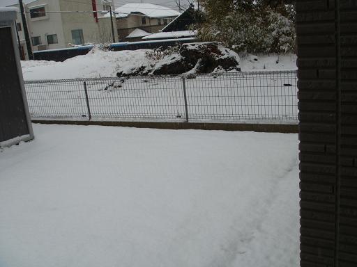 yonブロ用 006.JPG