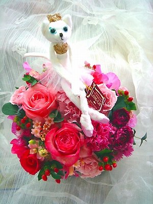 バレエキャット