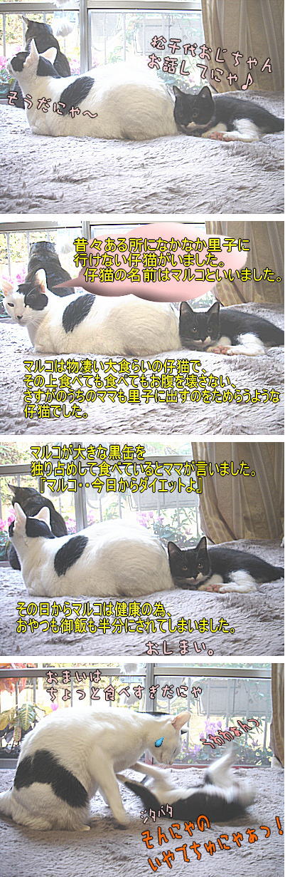 松君のおはなし