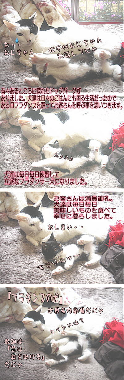 フラダンスの犬