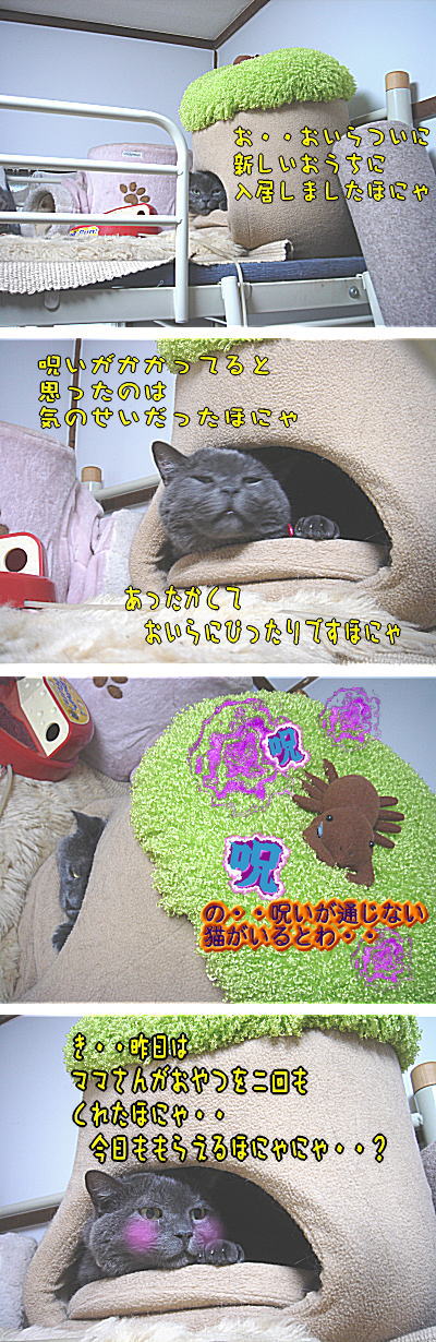 銀じぃ呪いを破る