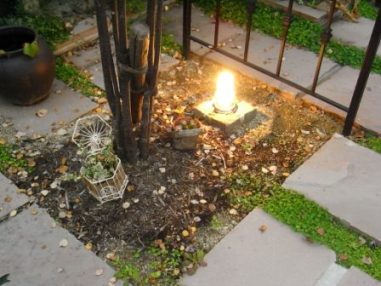 カツラの落ち葉とライト