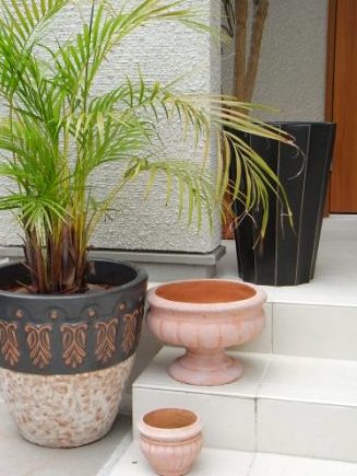 買った鉢