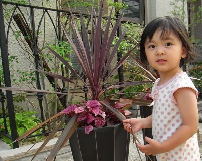 なーこと寄せ植え