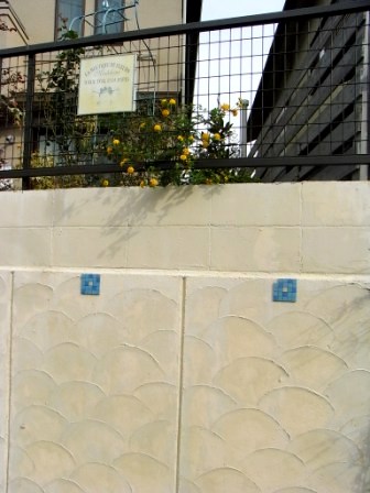 コバノランタナ