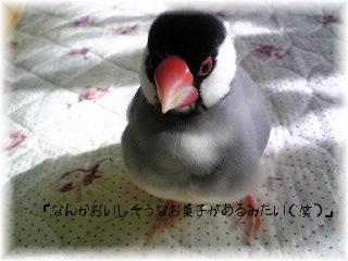 ビー