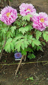 2009-06-09 18:31:44