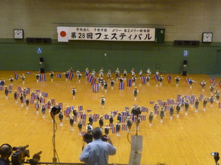 フェスティバル