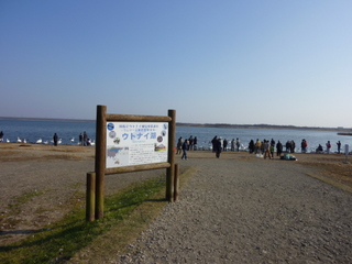 ウトナイ湖