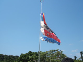 こいのぼり