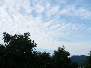 P1030617.JPG