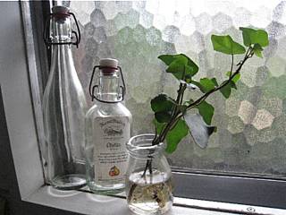 画像 239.jpg