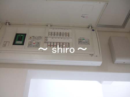 ie037.jpg