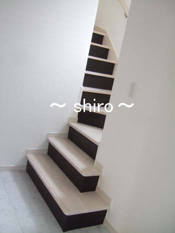 ie016.JPG