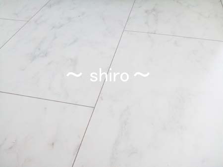 ie019.JPG