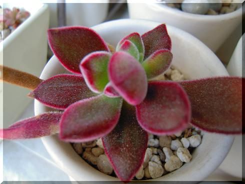 DSCN3039.JPG