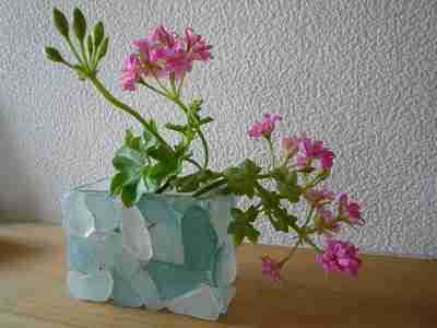 あいびーぜらにうむ