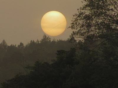 ﾀｲﾖｳ10502_1827