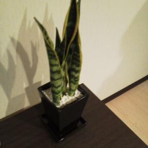 2011121423300000.jpg