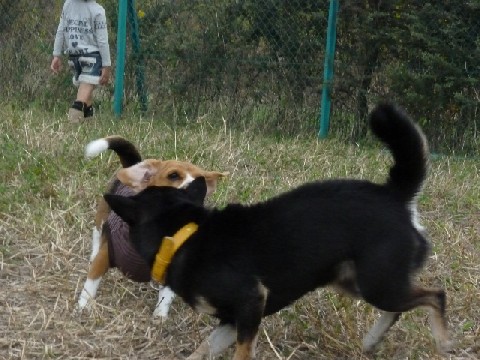 2009.10.25.15.14.jpg
