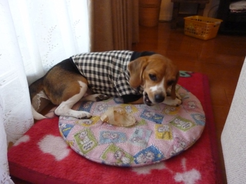 2009.11.4.16.51.JPG