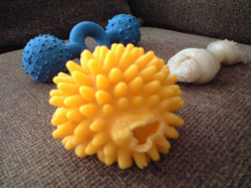 ハリネズミくん