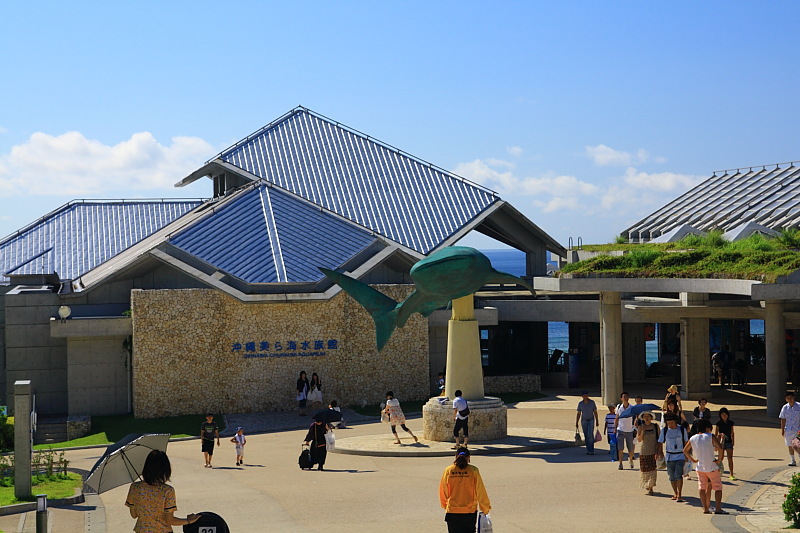 美ら海水族館(1)